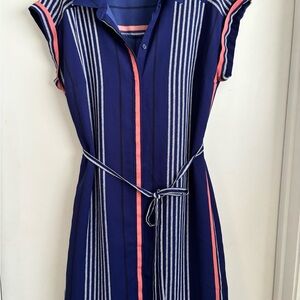 Express Navy and Pink Striped Dress